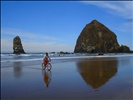 Q Riding at Haystack Rock